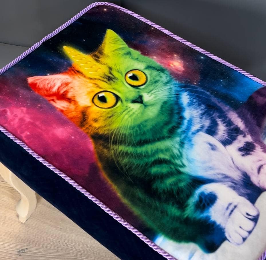 Footstool Rainbow Cat Design Velvet with Natural Beech Legs