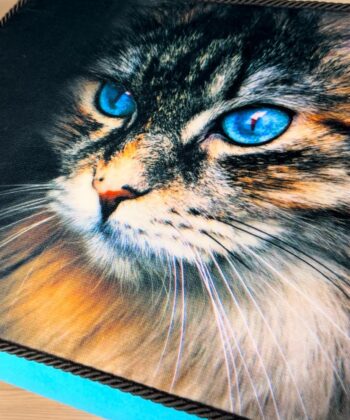 Turquoise Cat Print Velvet Footstool 60x40cm
