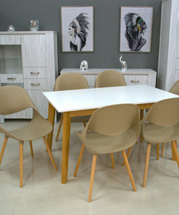 Cappuccino Chicago Polypropylene Chair – Scandinavian Beige