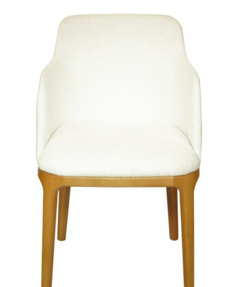 Monstera Velvet Dining Chair – Colourful Upholstered