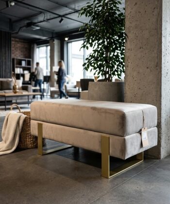 Arena Velvet Bench – 80×35 cm Premium Velvet Upholstered Metal Bench with Brushed Gold Steel Frame (80 × 35 × 47 cm)