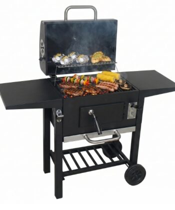 Alvaro Large Charcoal Garden Grill with Lid