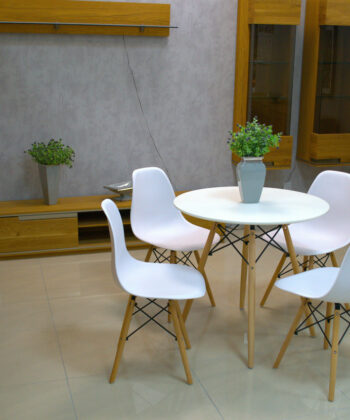The Model Y Nordic Chair