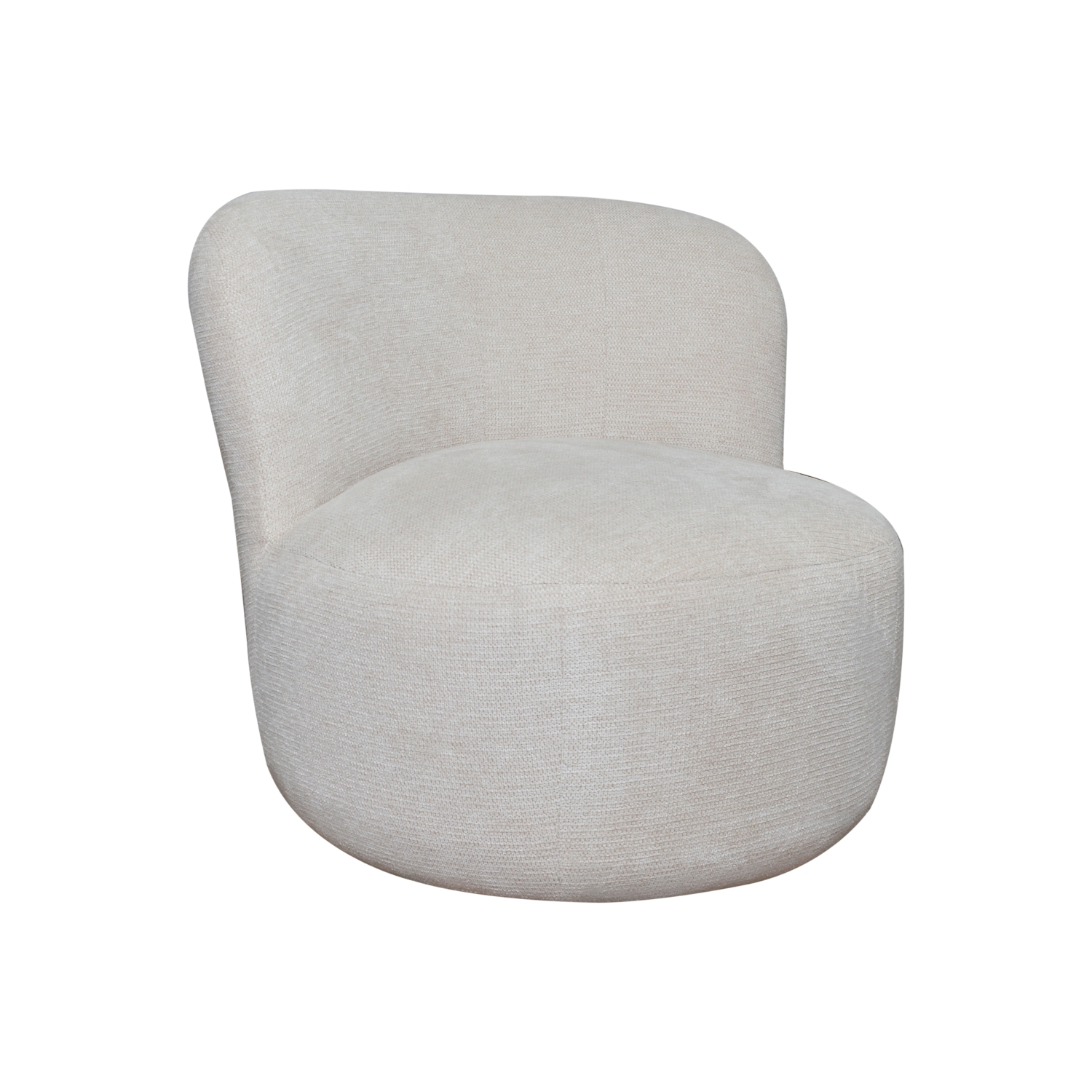 Kleo Premium Modern Upholstered Lounge Chair – Spacious Accent Armchair with Ergonomic Backrest