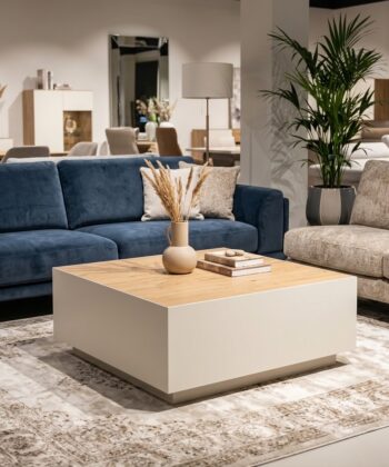 TETRA Low Rectangular Loft Coffee Table (100.6×55.2cm × H35.8cm | 18mm Top & Powder-Coated Steel Frame)
