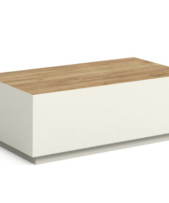 TETRA Low Rectangular Loft Coffee Table (100.6×55.2cm × H35.8cm | 18mm Top & Powder-Coated Steel Frame)