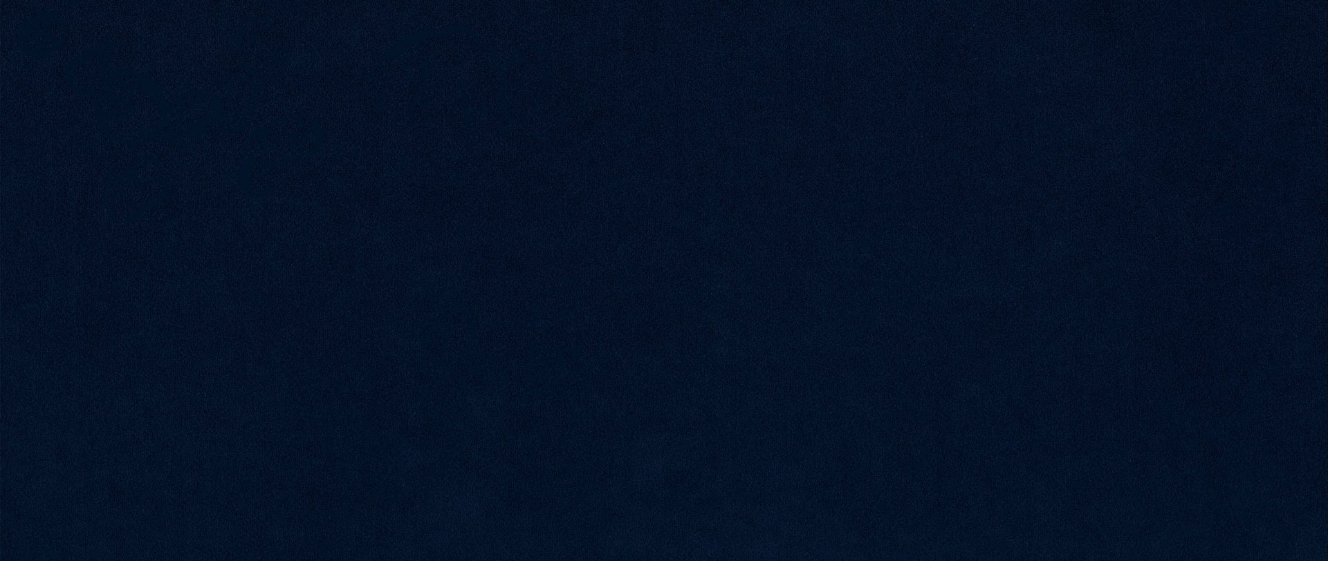 Matt Velvet 79 — PouffeLOVE Fabric Swatch