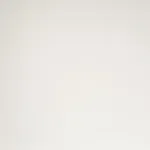 2411L Nebbia Gloss