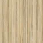 Coco Bolo 8995 SN