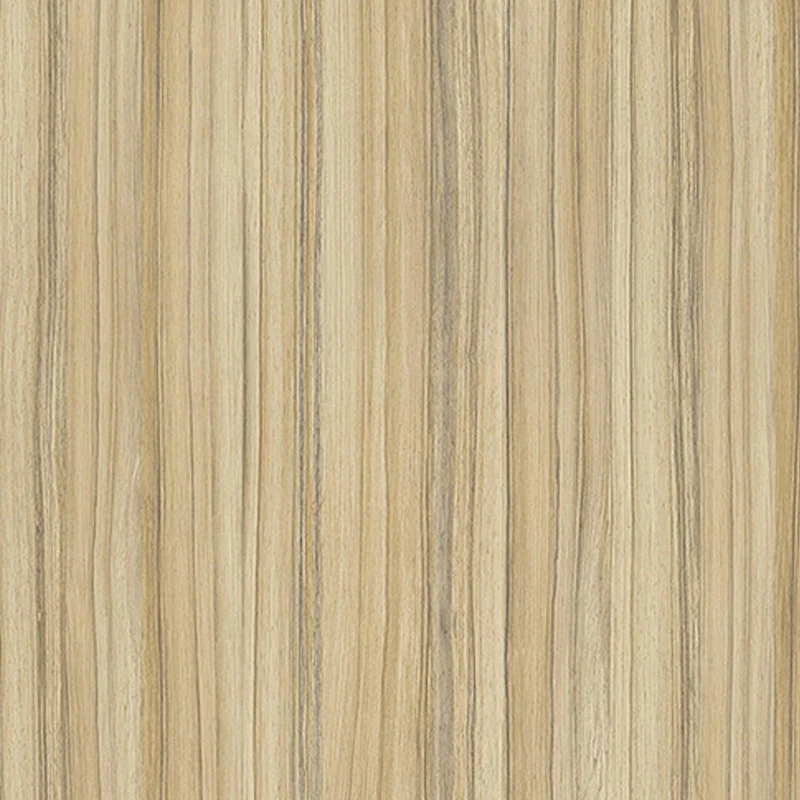 Coco Bolo 8995 SN