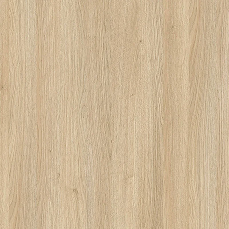 Dąb Nagano 8431 SN