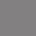 Light Graphite 0171